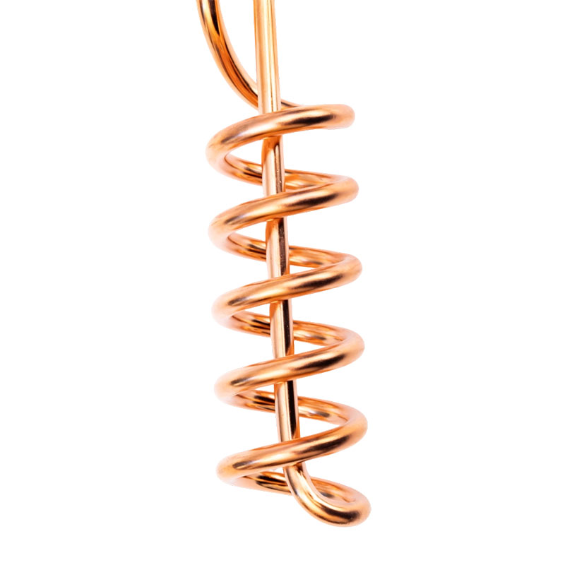 Caldaia elettrica ad immersione elettrica istantanea portatile FP-218,219,234